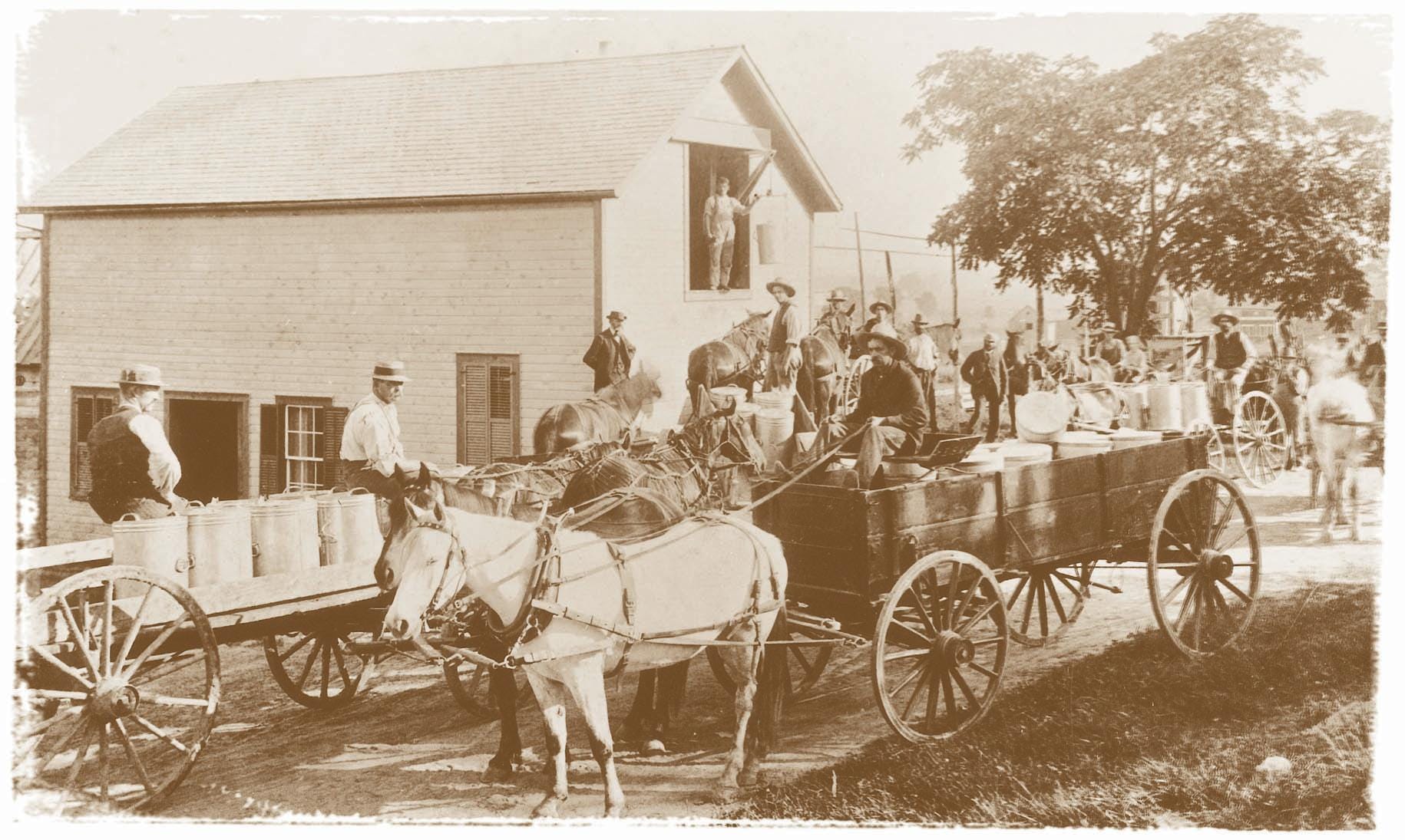 Cabot cheese goes back to 1919